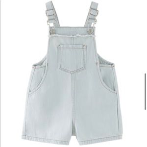 Zara Frayed Denim Overall Shorts